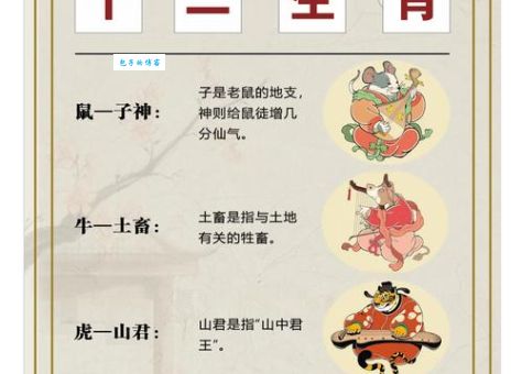 文质彬彬指什么生肖？看完秒懂不纠结。