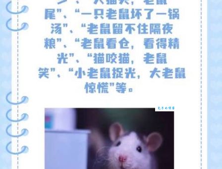 解读分一杯羹是什么生肖？谜底揭秘别错过！