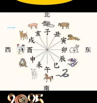 卯代表什么生肖？轻松了解生肖与地支关系！