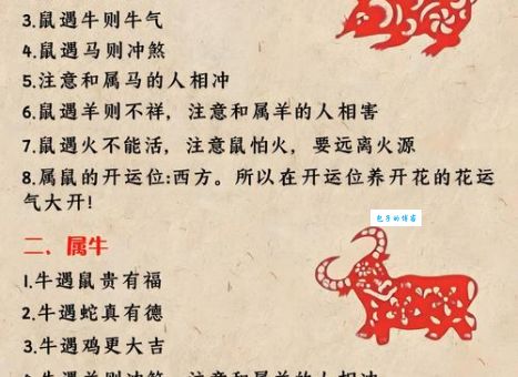 高风亮节最正确生肖怎么选？听听大家怎么说！