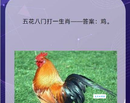 想知道五归二七走四家打一准确生肖？来看这里！