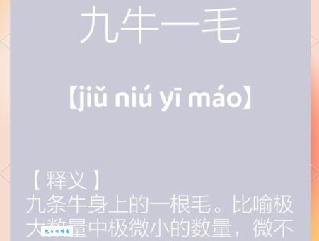 九牛一毛对应什么生肖？这句成语真有趣！