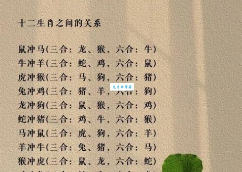 如何判断三五成群最佳准确生肖？看这里就对！