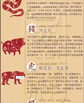 阳关大道到底指什么生肖？看完你就全懂了！