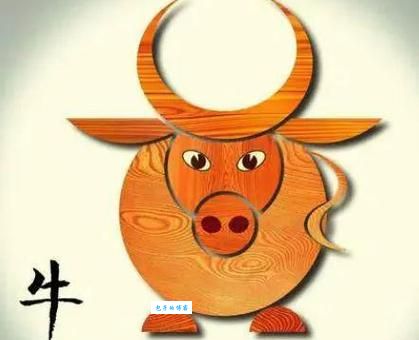 有人问天资愚钝是什么生肖？看完你就了解真相了！