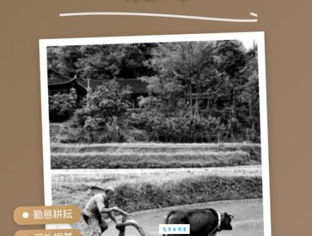 根壮叶茂的三大生肖是哪些？来看看你有没上榜！