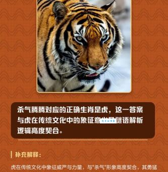 虎口逃生是什么生肖？民间故事为你揭秘真相！