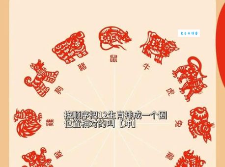 逢山开路遇水搭桥是什么生肖?看完你就明白了!