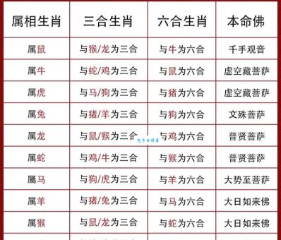 四六三四期待出是什么生肖？专家为你揭秘！