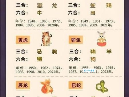 揭秘南北通透打一最佳生肖，原来答案这么简单！