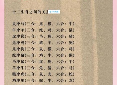 揭秘南北通透打一最佳生肖,原来答案这么简单!