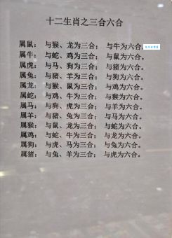 千姿百态打一最准生肖是什么？看完这篇就明白了！