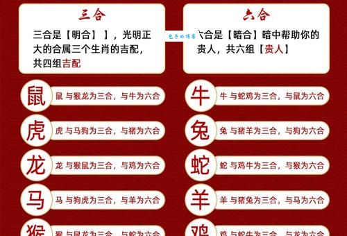 纡朱怀金打一准确生肖？来看正解不要猜！