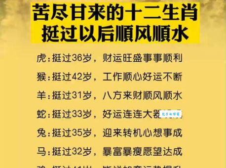 勤学苦练是什么生肖?为何这些生肖能学业有成!