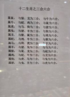 言重九鼎是什么生肖？权威解析让你不再困惑！