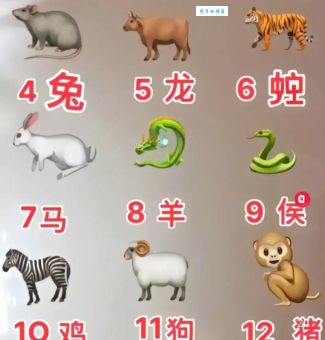 一叶知秋三大生肖有哪些特点?你了解自己的生肖吗?