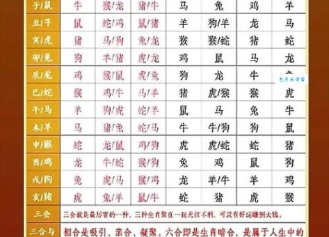 老话常说头破血流指什么生肖？看完你就知道哪个倒霉！