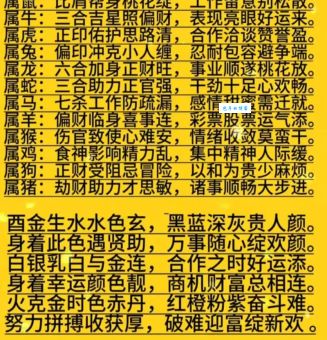 飞提更高望更远是什么生肖?生肖解析让你不再困惑!