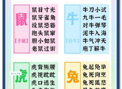 欢蹦乱跳打一生肖是哪个？看看这个动物的特点就懂了！