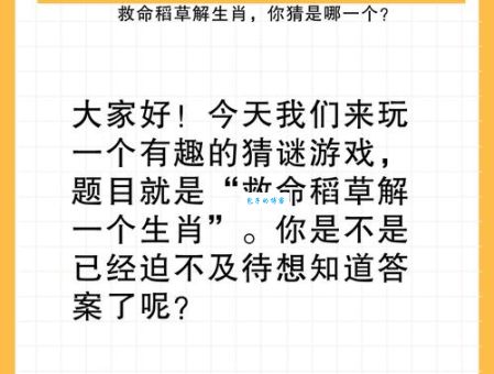 鹤发童颜打一生肖怎么解？高手教你轻松猜！