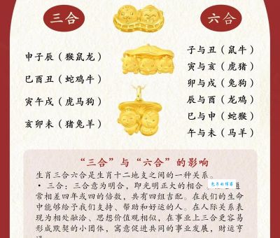 解密七手八脚指什么生肖？了解民间智慧的生肖文化！
