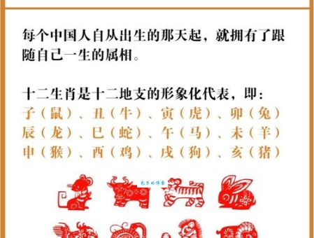 马马虎虎指什么生肖？它不是指特定生肖哦！