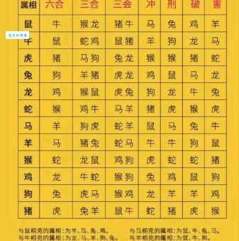 点滴归公打一最佳生肖是什么?快来猜猜看吧!