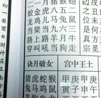 “光阴似箭打一准确生肖”的谜语解析，马上看！