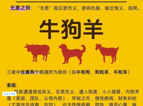 三山五狱终是情打一最佳生肖是什么？快来猜！