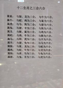 落草为寇开过什么生肖？一起来看看江湖传说！