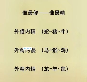 石火光阴打一准确生肖:看看答案是不是你想的!