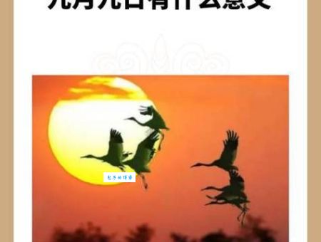 九九重阳是什么生肖正确答案？民俗专家告诉你！