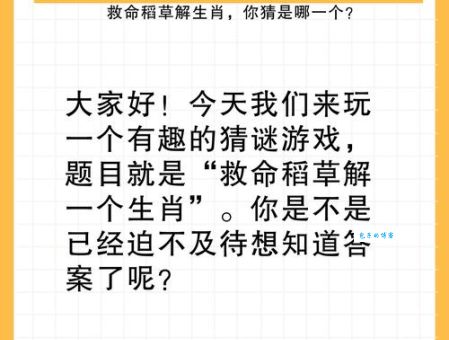 心急如火猜打一最佳正确生肖是什么?这里有详细解答!