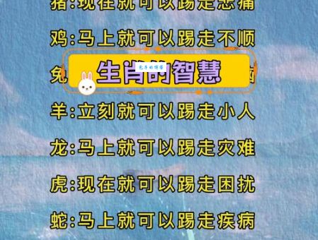 有勇无谋的生肖如何改善？掌握这些方法不再吃亏！