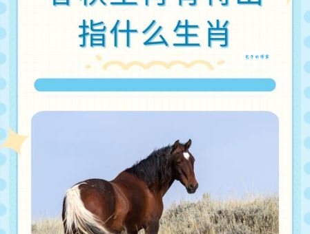 寻找信马由缰最准确生肖，看看哪个生肖最像你！