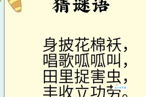 含沙射影打一动物的谜底？原来是它让人猜不到！
