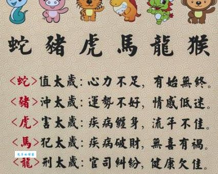 弱肉强食指什么生肖？其实根本没有这个说法！