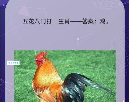 五体投地打一准确生肖有多种答案？哪个才是真相？