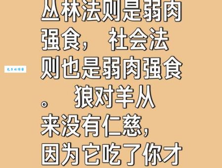 弱肉强食最佳答案一肖在哪里?一篇搞懂不再迷茫!