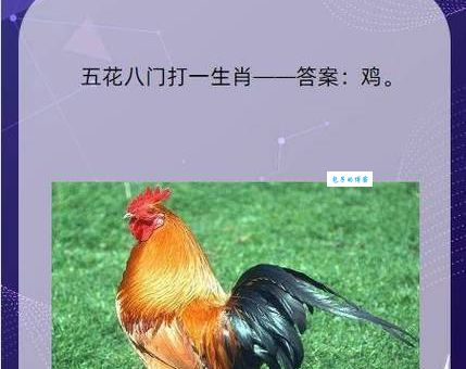 五体投地打一个正确生肖是什么？资深玩家告诉你！