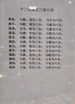 为国为民的动物是什么生肖？民间答案在这里！