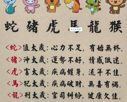 为国为民的动物是什么生肖？民间答案在这里！