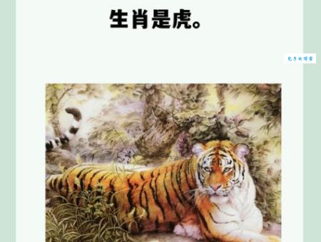 揭秘为虎作伥打一准确生肖，原来是这个动物！