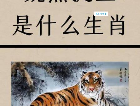 想知道褚小杯大是什么生肖？老一辈告诉你真正的答案！