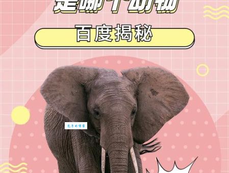 非亲非故打一正确动物的最新解答！看完你就明白了！