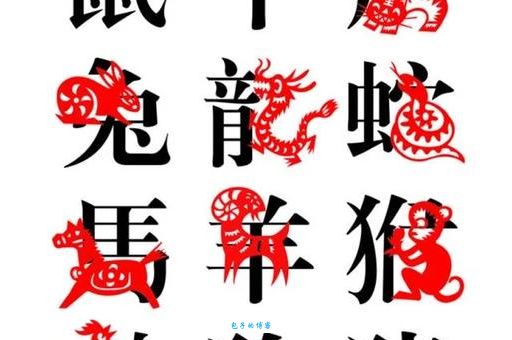 一无所有是什么生肖？答案令人意外竟是这个生肖