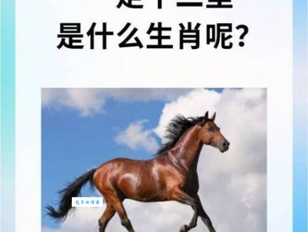 这个谜语：五谷飘香打一准确生肖到底指的是什么生肖？