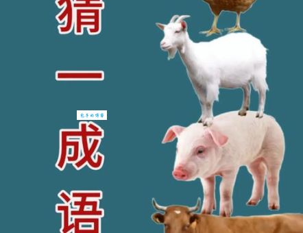 拨草瞻风打一准确动物是哪个？据说只有少数人能猜中！