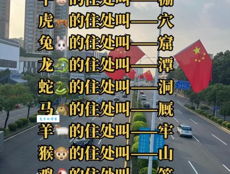 揭秘一路顺风在七八打一正确生肖的谜底是哪个生肖？