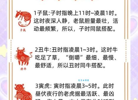 揭秘一路顺风在七八打一正确生肖的谜底是哪个生肖?